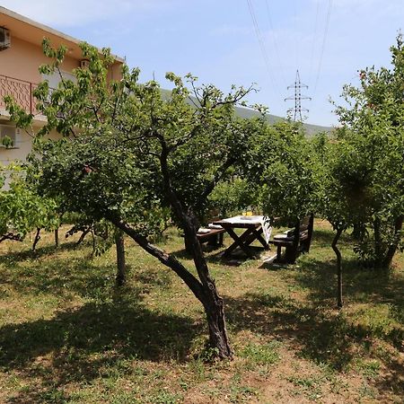 Garden House Apartment تريبينيي المظهر الخارجي الصورة